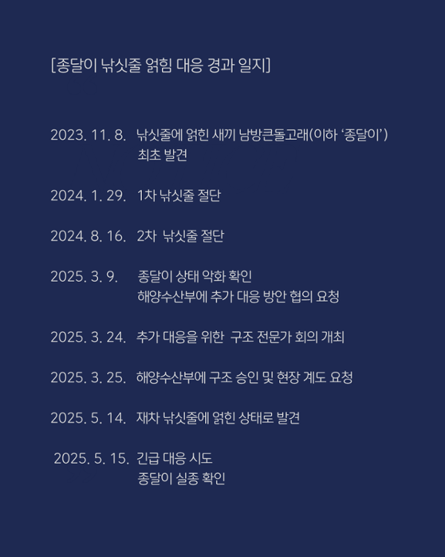 마지막 모습, 낚시줄 감겼는데…한달째 사라진 '종달이' 결국 사망했나