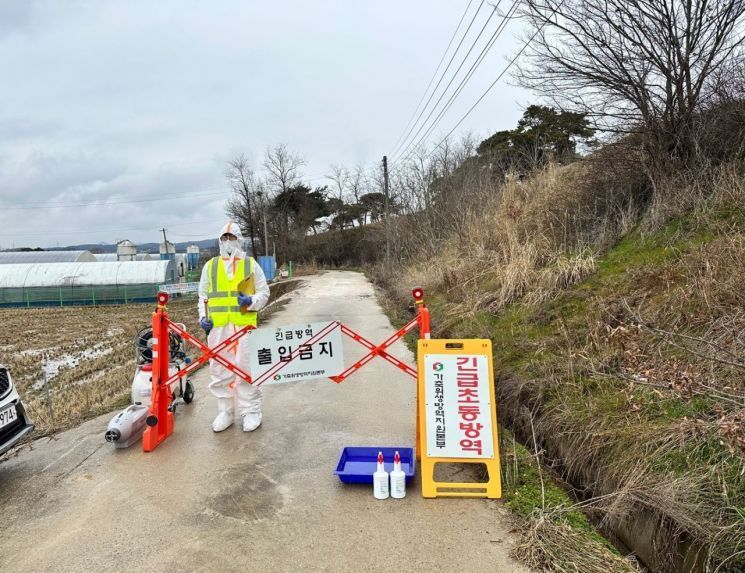 충남 서산 육용오리 농가서 AI 항원 검출…2만8000마리 살처분