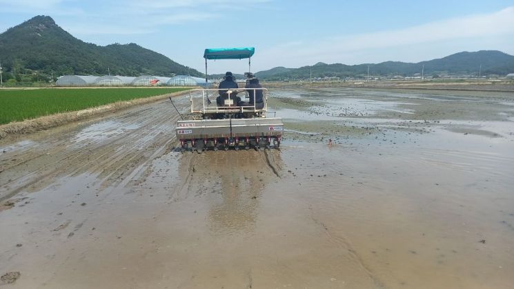 함평군, '생산비 절감' 벼 무논점파 재배단지 조성
