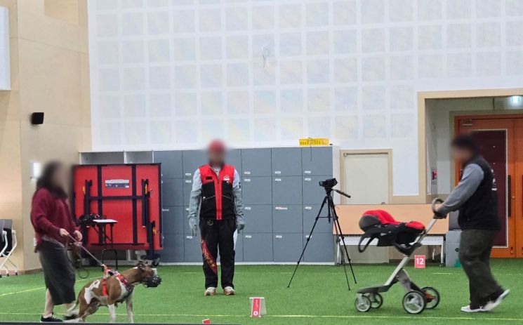 경기도, 도내 사육 맹견 대상 올해 첫 '맹견 기질평가' 시행