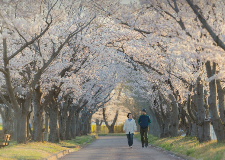 기사 이해를 돕기 위한 자료사진. 픽사베이