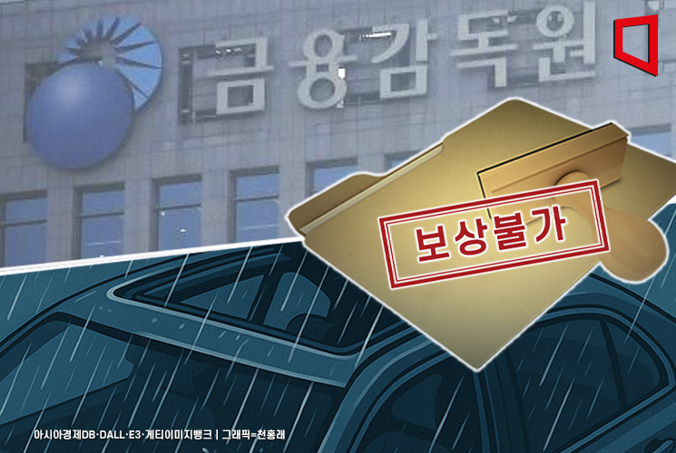 폭우때 선루프 열어두면 침수보상 안 돼…금감원 車보험 유의사항 공개