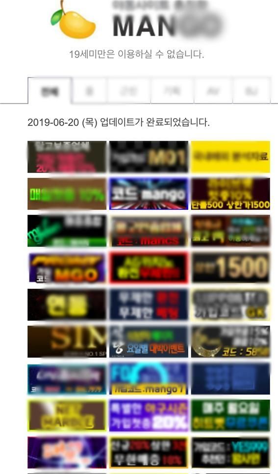 A씨가 운영한 국내 최대 규모의 불법성영상물 유포 사이트. 대전경찰청 제공