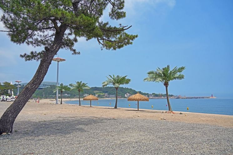 경주 관성솔밭해수욕장