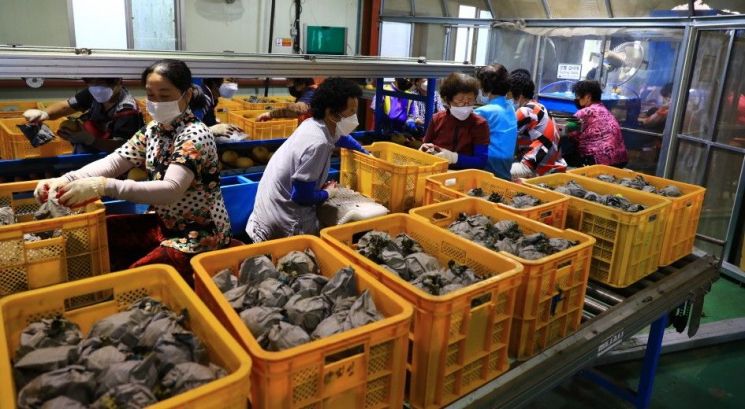 곡성군배영농조합법인, 7년 연속 '최우수' 농산물 단지