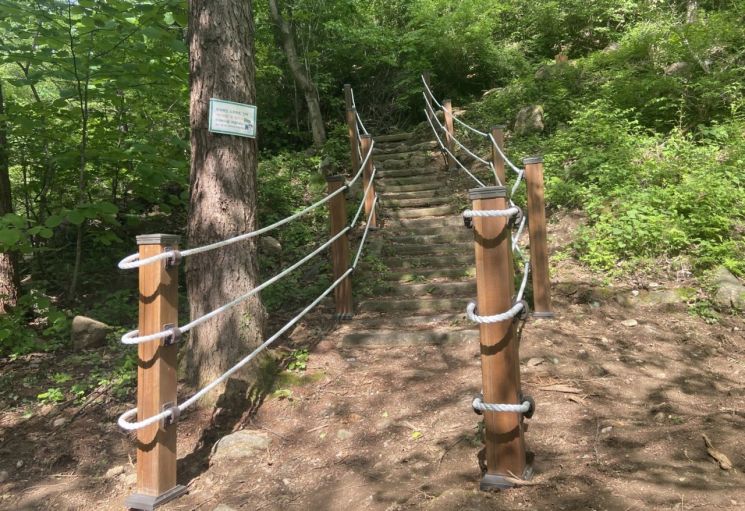 경북 영주에 국내 첫 ‘백패킹형 장거리 숲길’ 생겼다