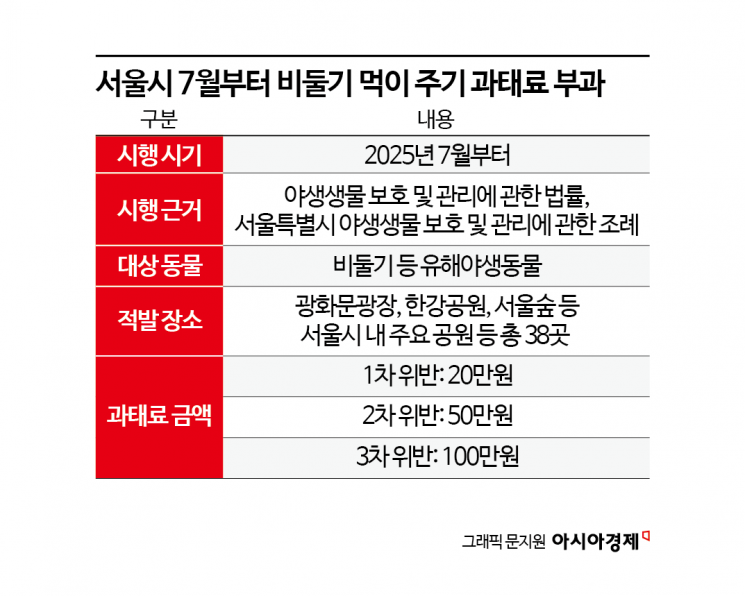 과태료 100만원인데…비둘기 먹이 주는 이유