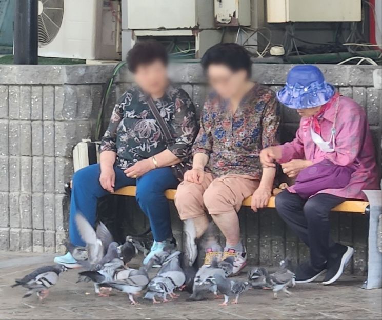 19일 서울 노원구의 한 공터에서 노인이 비둘기에게 먹이를 주고 있다. 변선진 기자