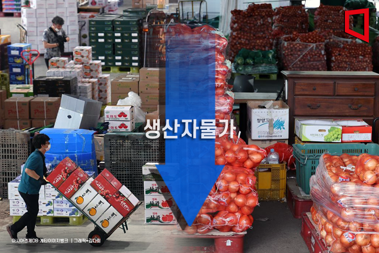 생산자물가 두 달째 하락… 참외·양파 전월比 '반값'