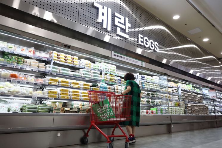22일 서울의 한 대형마트. (사진은 기사와 직접적인 관련이 없습니다.) 연합뉴스.