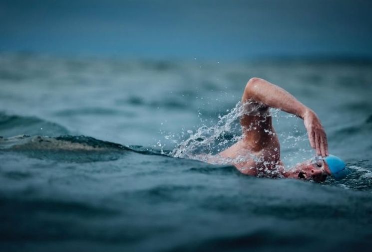 상어만 보면 "죠스가 나타났다"…개봉 50년 지나도 비과학적 공포 계속