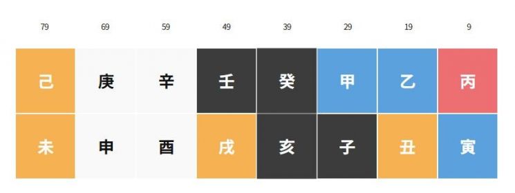 [노홍철 사주의 대운 변화]