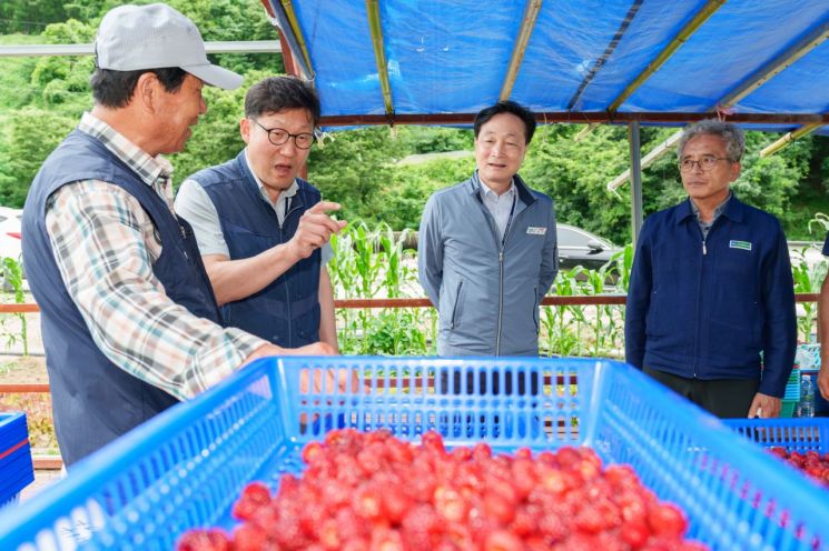 폭우 속 산딸기 농가엔 단비… 월성본부, 지역특산물 산딸기 1000박스 구매-기부