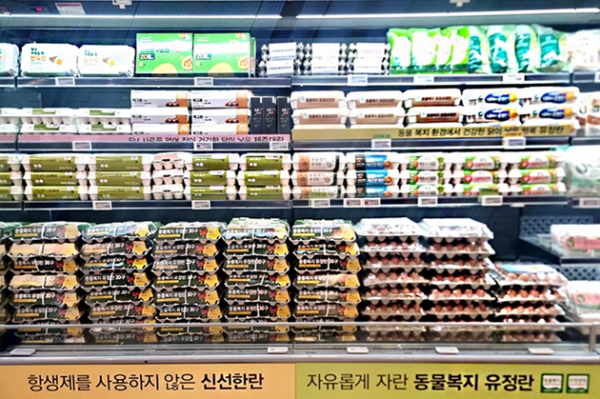 킴스클럽에 특가 계란이 진열된 모습. 이랜드킴스클럽 제공.
