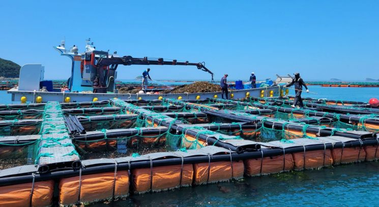 전남도 "과잉생산 전복 산업 체질 개선 나선다"