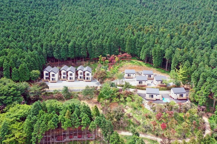 사천 케이블카 자연휴양림 편백림 피톤치드 3배가량 높아 