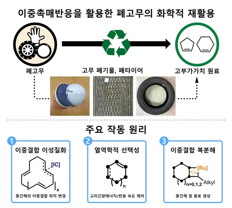KAIST 제공