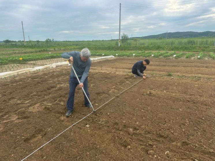 파주시, 장단백목 품종보호출원 재배연구 착수