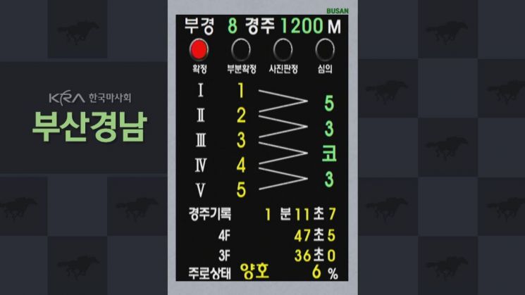 “1번부터 6번까지 착착착”… 경마장서 펼쳐진 진귀한 순위 드라마