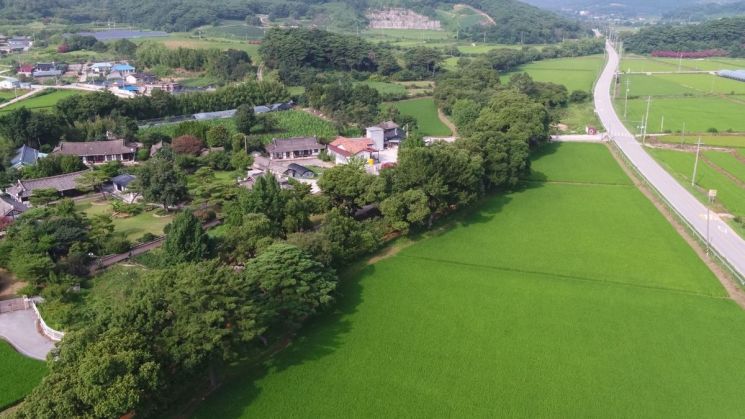 국내 최대 규모 왕버들 군락지, 자연유산 된다