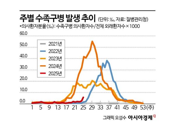 영유아 '수족구병' 일주일 새 2배…"손씻기·위생 관리 중요"