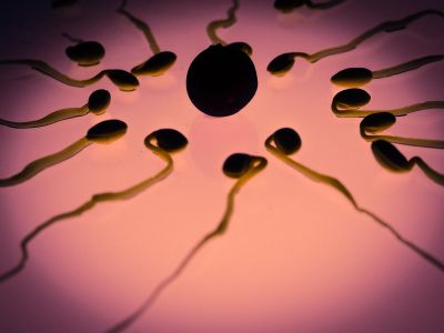 정자 기부했다가 자녀 50명…"매주 새로운 자녀에게서 연락 온다"