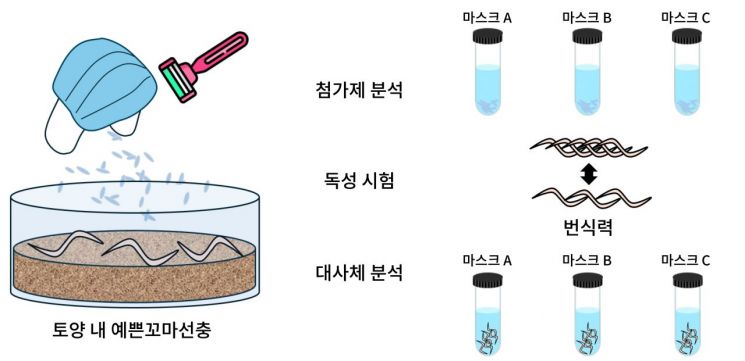 GIST, 일회용 마스크 토양 생태계 오염 영향 규명