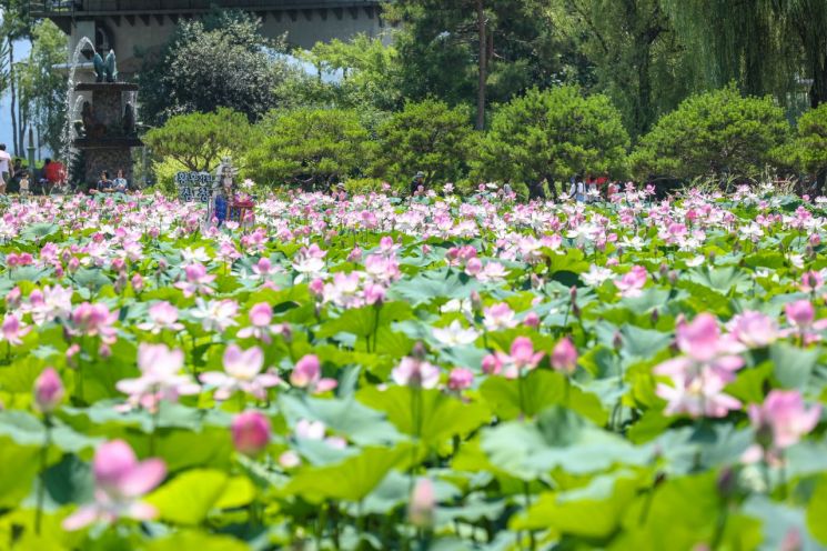 전진선 군수 "국가정원·생태탐방…양평 서부권 대도약 이끌 것"