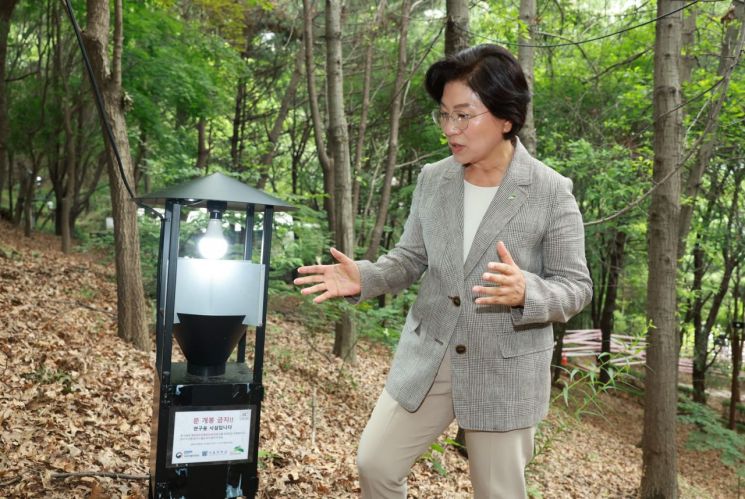 은평구, ‘러브버그’ 친환경 방제에 총력