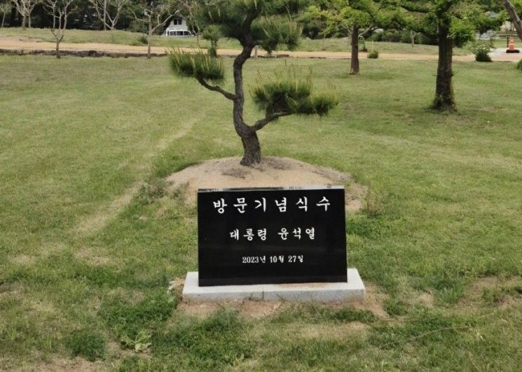 병산서원서 사라진 '윤석열 기념식수 비석'. 연합뉴스.