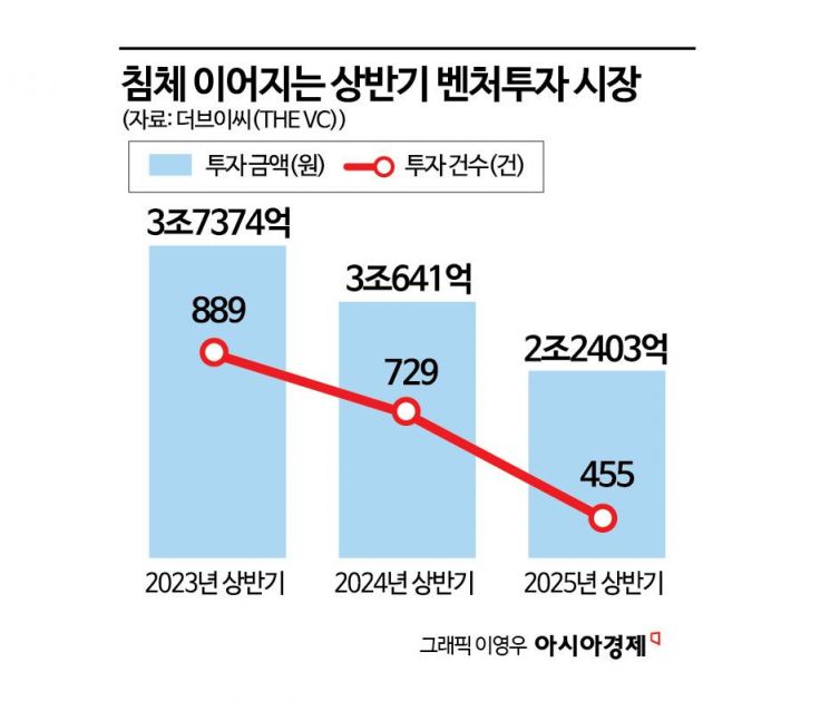바이오·AI도 꺾였다…상반기 벤처투자 '냉기류'