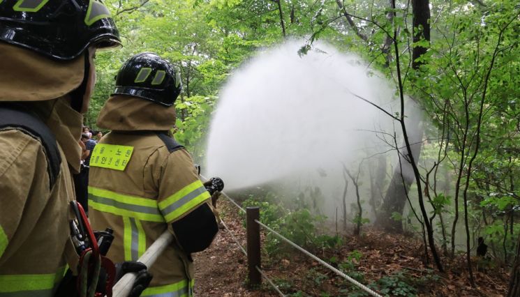 수도권 덮은 러브버그에…'소방살수차'까지 동원