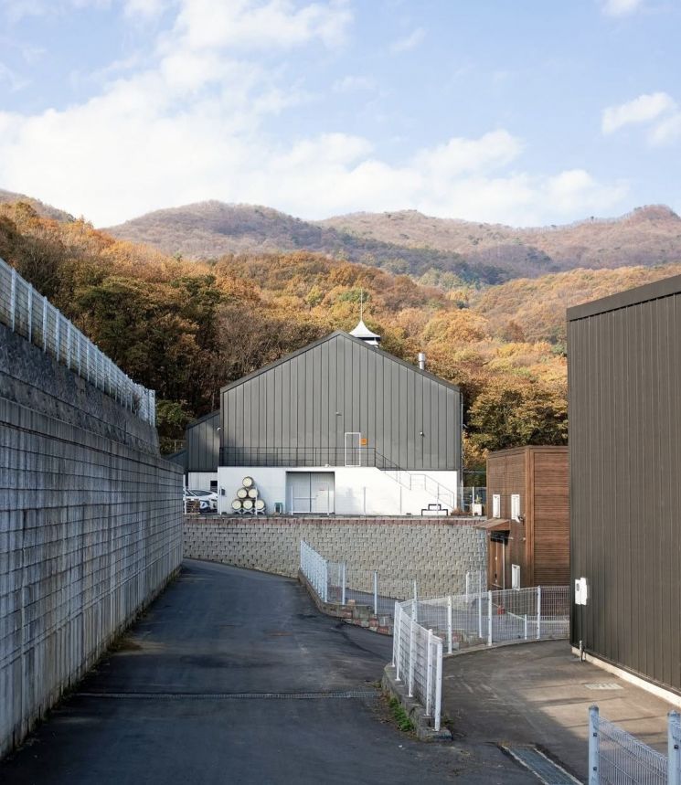 도정한 기원 대표 "위스키 생산 최적의 기후…바로 한국"