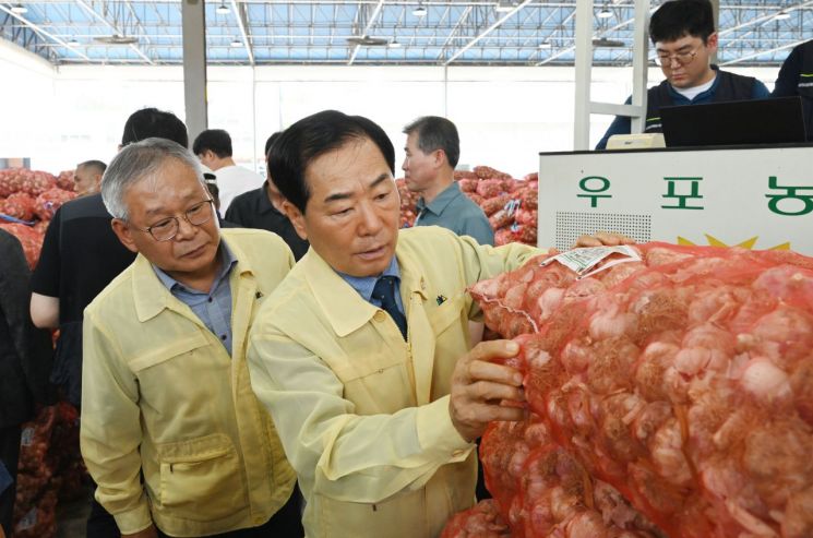 마늘 최대 생산지 창녕군, 2025년 햇마늘 경매 한창 진행 중