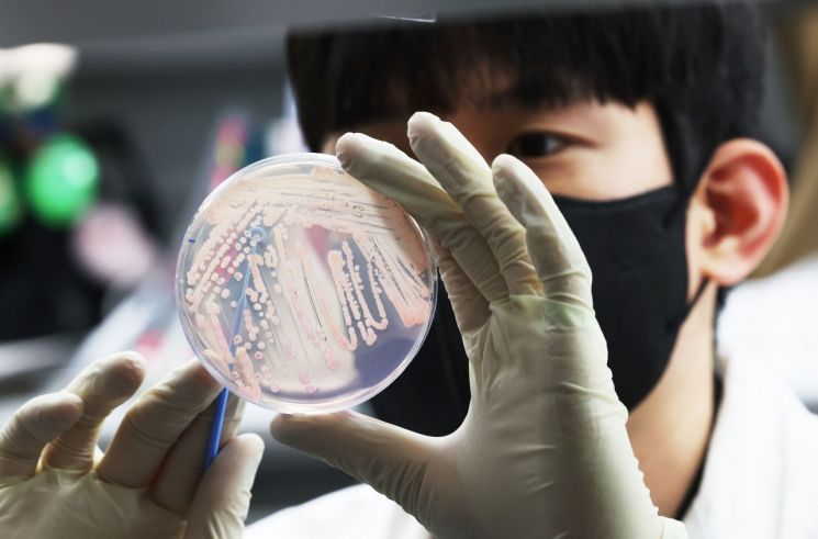 식중독 위험이 증가하고 있는 최근, 수도권의 한 연구원에서 식중독균 배양분리작업이 진행 중이다. 연합뉴스