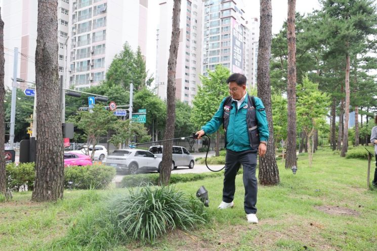 박강수 마포구청장 "러브버그로 인한 주민 불편 최소화하는 게 구청 역할"