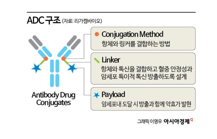 [이주의 관.종]'암 치료 정밀유도로켓' 만드는 리가켐바이오