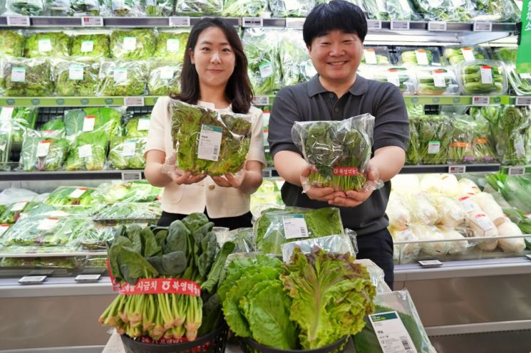 롯데마트는 폭염으로 인한 잎채소 수급 불안을 해소하고자 CA저장 시금치와 스마트팜 상추, 깻잎 등을 판매한다고 8일 밝혔다. 롯데마트 제공