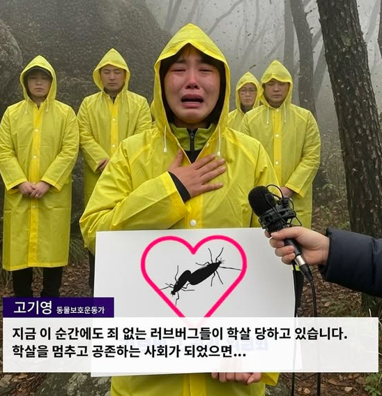 최근 러브버그 학살을 멈춰 달라는 한 동물보호운동가의 인터뷰가 SNS상에서 논란인 가운데 이 사진은 인공지능(AI)으로 만든 가짜인 것으로 확인됐다. 엑스