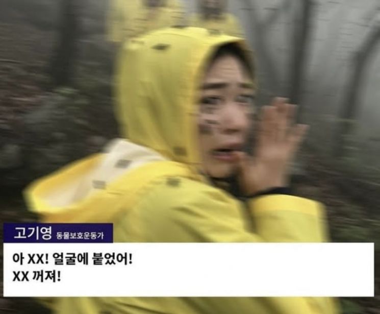 최근 러브버그 학살을 멈춰 달라는 한 동물보호운동가의 인터뷰가 SNS상에서 논란인 가운데 이 사진은 인공지능(AI)으로 만든 가짜인 것으로 확인됐다. 엑스