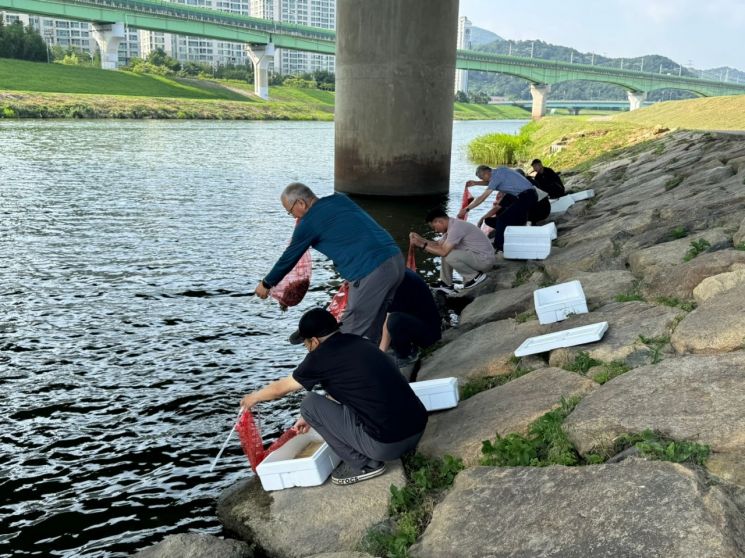Yangsan City releases approximately 320,000 native Southeast Asian freshwater crabs to increase native fish species and restore the aquatic ecosystem environment.