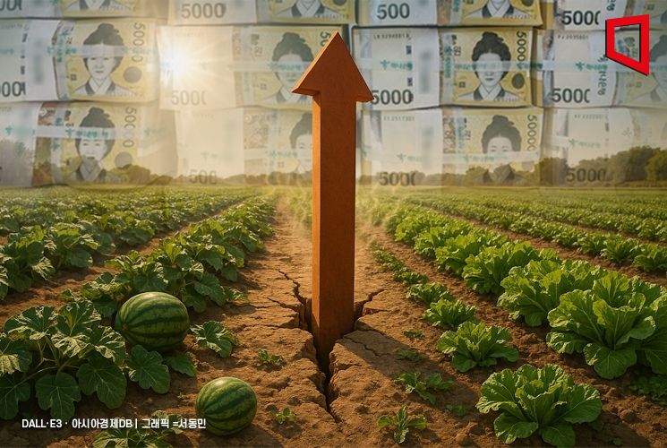오늘이 제일 싸다…때이른 폭염에 가격 껑충, 수박·상추 수급 초비상