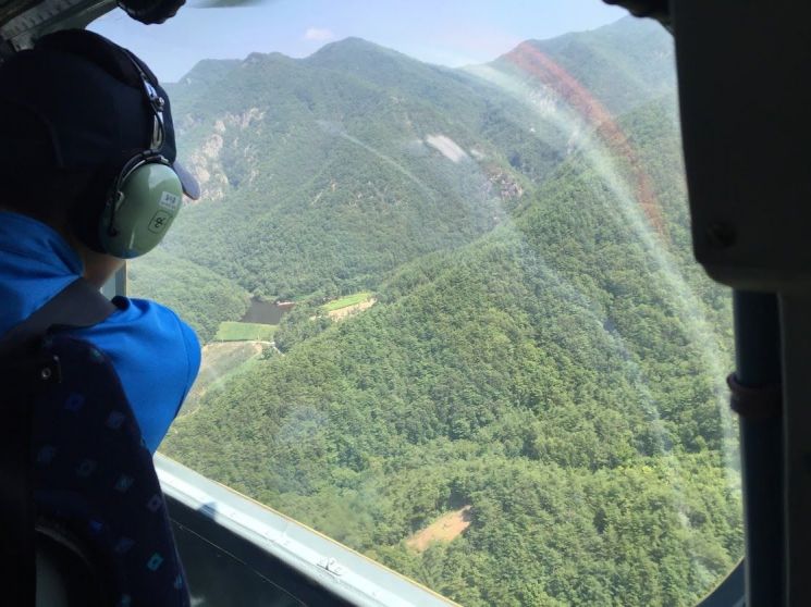 산림청, 재선충병 감염 우려목 등 261만 그루 방제