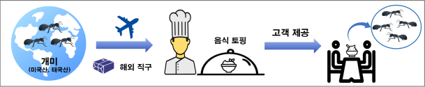위반 행위 모식도. 식품의약품안전처.