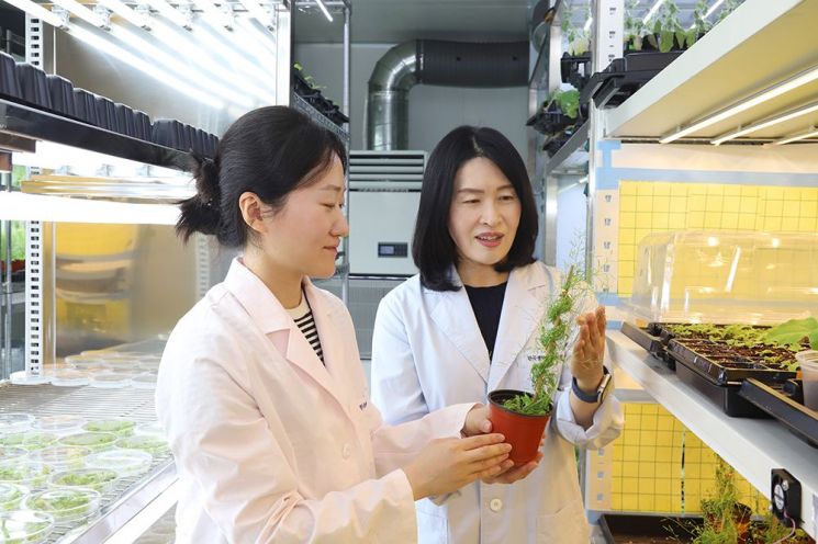 (오른쪽부터) 조혜선 박사(교신저자), 조승희 박사(제1저자). 한국생명공학연구원 제공