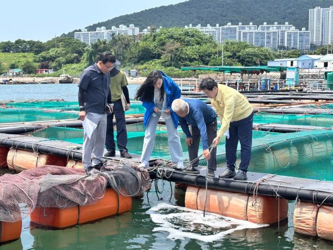 여수시는 지난 9일 오전 9시를 기준으로 거문도를 제외한 전 해역에 고수온 주의보가 발령됨에 따라 양식 수산물 피해를 최소화하기 위한 총력 대응에 나섰다. 여수시 제공