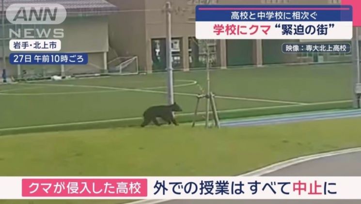 지난달 27일 오전 10시 일본 이와테현의 한 고등학교 교정에 야생 곰이 나타나 운동장, 자전거 보관소 등을 뛰어다녀 외부 수업이 중단되는 일이 발생했다. ANN 뉴스 화면