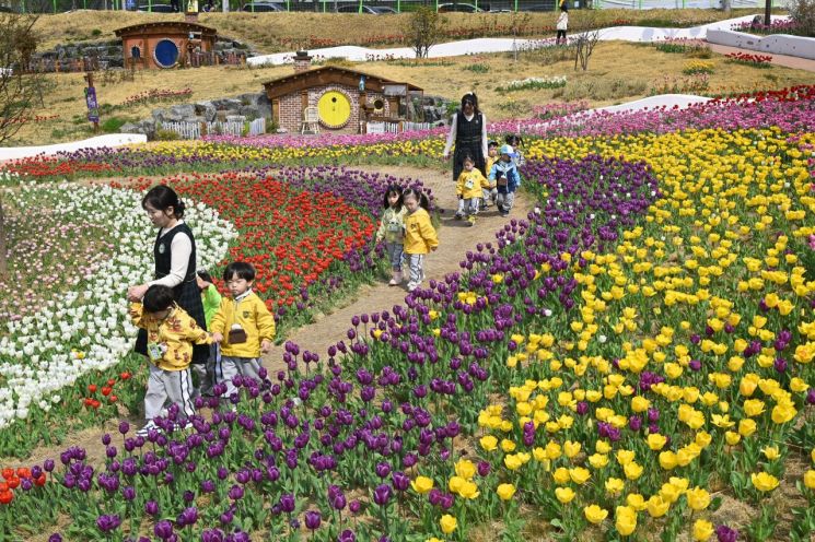 튤립 명소 달성 '세천늪 테마정원', 대구 첫 지방정원 등록…3만7000평 규모 