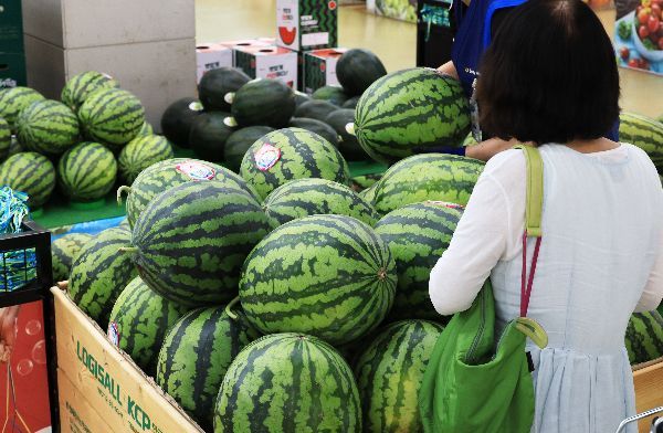 연합뉴스