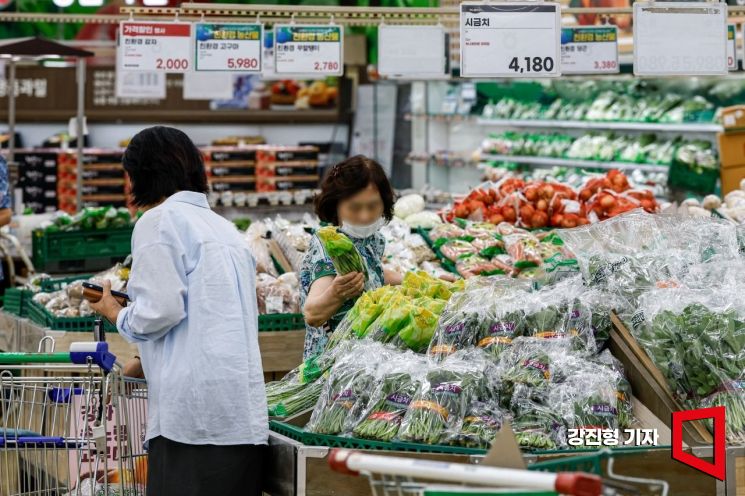 "이제 열무김치 기본반찬으로 못 드려요"…'최대 800㎜ 물폭탄' 여파 '비상'